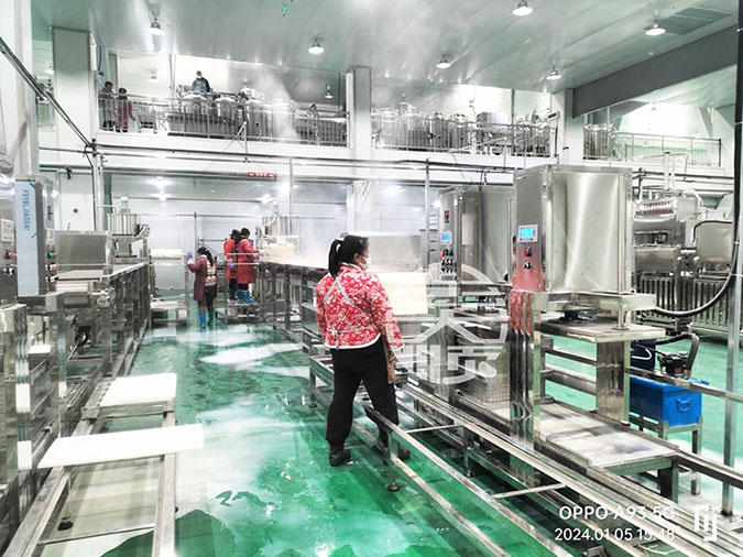 长征注册大型干豆腐生产线设备实际生产案例